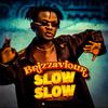 Slow Slow - Brizz Aviour