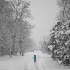 cold outside (Explicit) - everything but rich