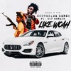 Like Woah (feat. Bop Menaxe) (Explicit) - Southsiderenzo&Bop Menaxe