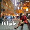 Diljale (Ek Din Reprise) - Sona Mohapatra&Ram Sampath&Crehyl Pereira