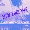 Where the Heart Is (feat. Melody Man) (Explicit) - Lejit the Wasteland Prince&Melody Man