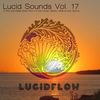 Lucid Sounds Seventeen (Deep Flow DJ Mix) - Mrs. Robot