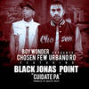 Cuidate Pa(feat. Black Jonas Point) - Boy Wonder&Black Jonas Point