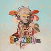 Spensive(feat. Nate Curry) (Explicit) - CHRM&Nate Curry