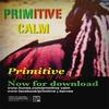 Calm (Original) - Primitive