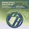 Give It On Up (Arie Mando Remix) - Hayden Green&Arie Mando