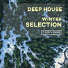 2Night (Original Mix) - WilyamDeLove&Liya Fran