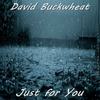Just For You (Original Mix) - David Buckwheat