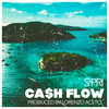 Cash Flow - S Pri&Lorenzo Aceto