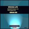 Wrong Life (Original Mix) - Serdar Ors