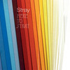 Lady - Stray&Braintax