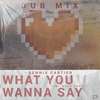 What You Wanna Say (Dub Mix) - Dennis Cartier&Ollie Wade