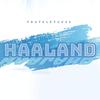 HAALAND - FrateleTau44