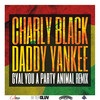 Gyal You A Party Animal (Remix) - Charly Black&Daddy Yankee