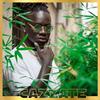 Cazzate - Abe Kayn