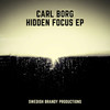 The Hidden Focus - Carl Borg