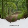 Bounder Destined - Bronia Ramid