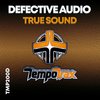 True Sound (Radio Edit) - Defective Audio