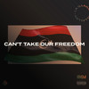 Can't Take Our Freedom(Re-Volutionized) - Kayem&Lowkey