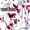 Frozen berries - Cbas
