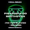 Pisadinha Do Beethoven (Tik Tok Slowed + Reverb) (Remix) - Green Neon DJ