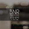 摇摆 (Inst.) - BNR