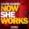 Now She Works (Eddie Amador & Dany Cohiba Remix) - David Cujino