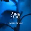 Water Into Wine - Áine Cahill