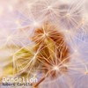 Dandelion - Robert Carollo