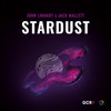 Stardust - John Linhart&Jack Mallett