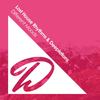 Different Moods (Original Mix) - Lost House Rhythms&Deeplations