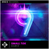 Club 9 (Original Mix) - Small ToK