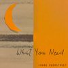 What You Need - Chord Overstreet