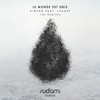 Le Monde Est Gris (Who Else Remix) - Who Else&Kintar