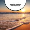 Pure Ocean Serenity - Eric Library of Nature Sounds