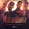 Maravilhosa - Ruanzinho&MC 2K&Dany Bala&Igor Sales