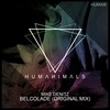 Belcolade (Original Mix) - Mike Denitz