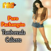 Mentira - Puro Pachangón&Thales Lessa&Rafa Torres