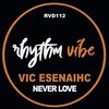 Never Love - Vic esenaihc