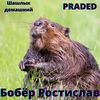 Бобёр Ростислав - Шашлык Домашний&PRADED