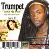 Touch My Body(feat. Ara B) - trumpet