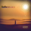 Good Bye (Lonely Mix) - Buddha Sounds&Lila Liu&Alejandro Gabriel Seoane&Lila Frascara