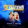 SLOW DOWN (Remix) - SD Lioness entertainment