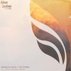 The Storm (Cenk Basaran Remix) - Miroslav Vrlik