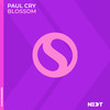 Blossom - Paul Cry