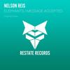 Elephants (Original Mix) - Nelson Reis