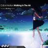 Walking In The Air (Original Mix) - O.B.M Notion