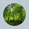 Out of the Woods - Dj KoeH