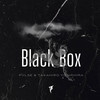 Black Box (Original) - Takahiro Yoshihira&PVLSE