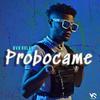 Probocame - NVR Rulay